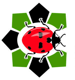 BIS Logo
